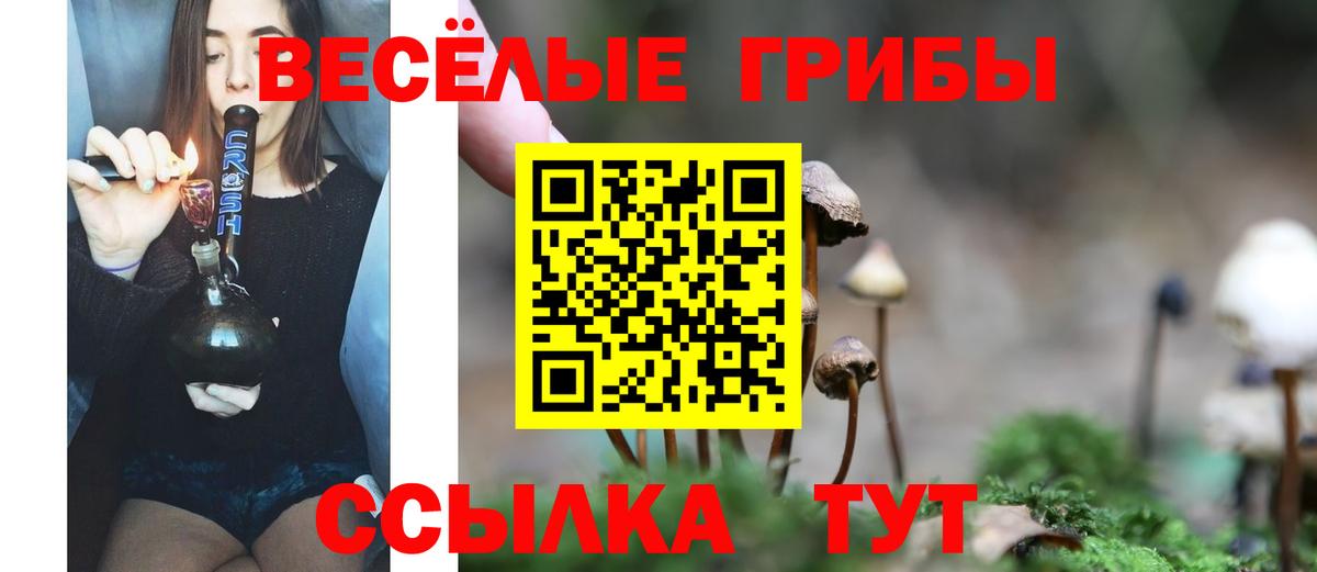 Галлюциногенные грибы Cubensis  Вход с VPN  Богданович 